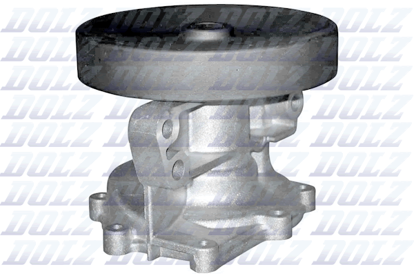 Pompa de apa DOLZ F200