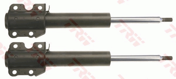 Amortizor TRW JGM1006T