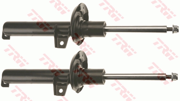 Amortizor TRW JGM1030T