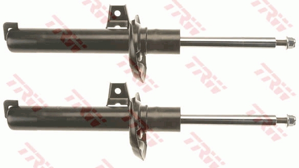 Amortizor TRW JGM1032T