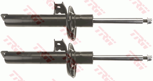 Amortizor TRW JGM1034T