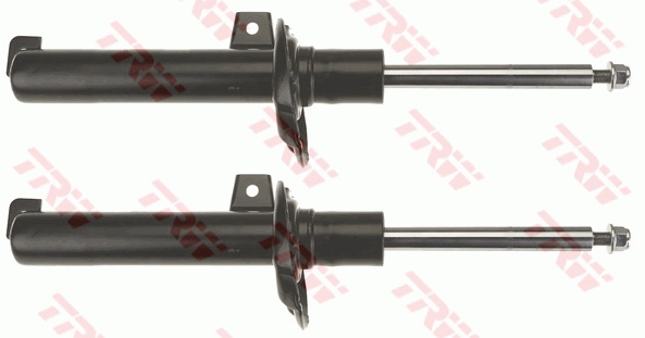 Amortizor TRW JGM1056T