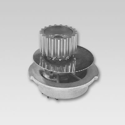 Pompa de apa HEPU P793