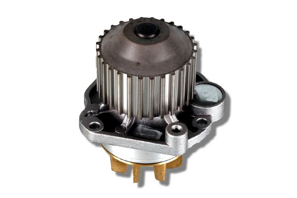 Pompa de apa HEPU P805