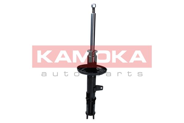 Amortizor KAMOKA 2000367
