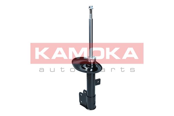 Amortizor KAMOKA 2000499