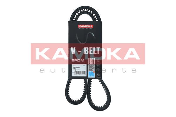 Curea transmisie KAMOKA 7010309