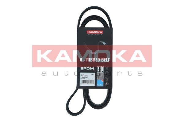 Curea transmisie cu caneluri KAMOKA 7014079