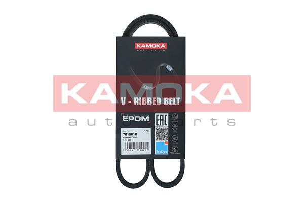Curea transmisie cu caneluri KAMOKA 7015018