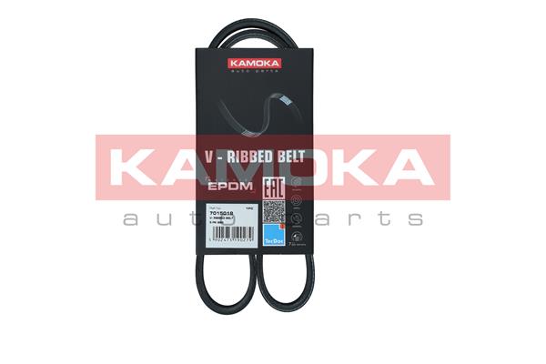 Curea transmisie cu caneluri KAMOKA 7015019
