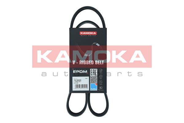 Curea transmisie cu caneluri KAMOKA 7016029