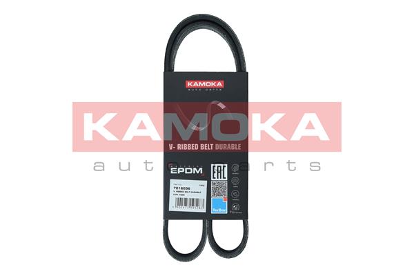 Curea transmisie cu caneluri KAMOKA 7016036