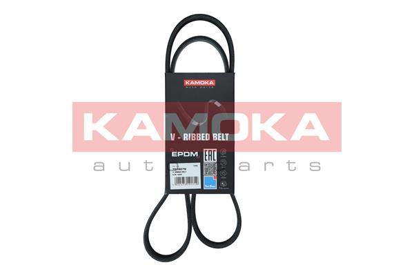 Curea transmisie cu caneluri KAMOKA 7016079