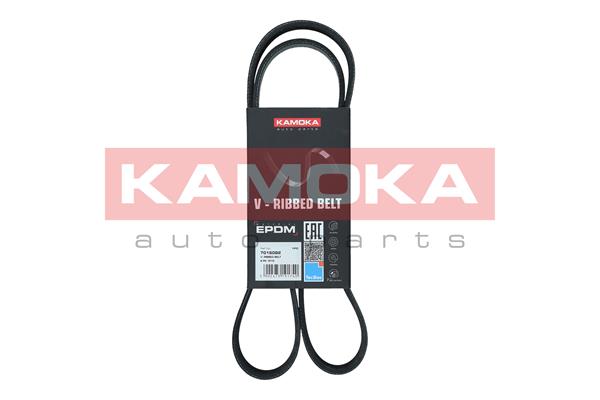 Curea transmisie cu caneluri KAMOKA 7016082