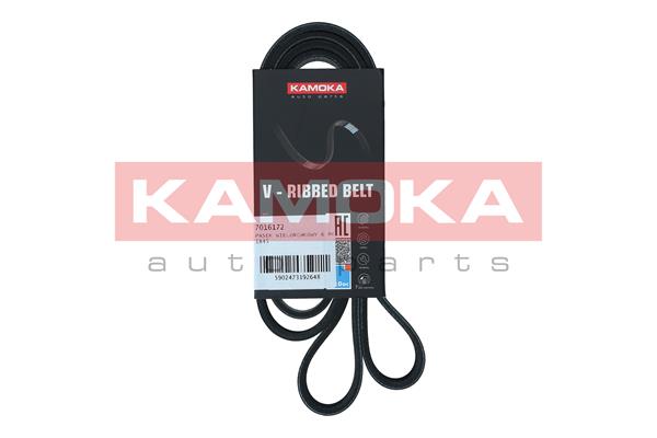 Curea transmisie cu caneluri KAMOKA 7016172