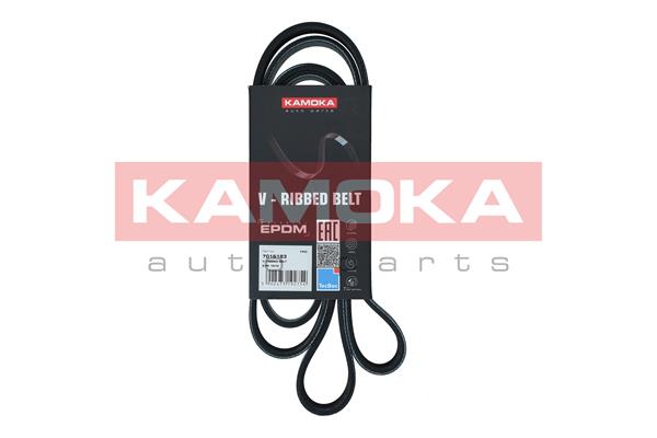 Curea transmisie cu caneluri KAMOKA 7016183