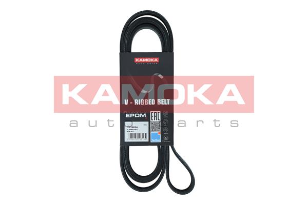 Curea transmisie cu caneluri KAMOKA 7016224