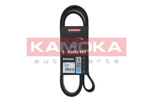 Curea transmisie cu caneluri KAMOKA 7017021