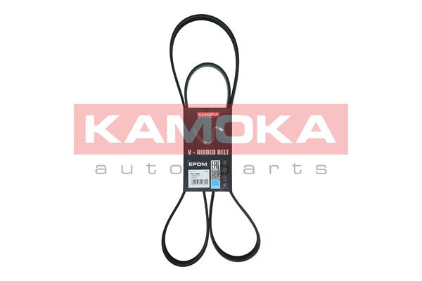 Curea transmisie cu caneluri KAMOKA 7017025
