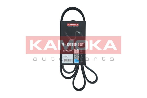 Curea transmisie cu caneluri KAMOKA 7017031