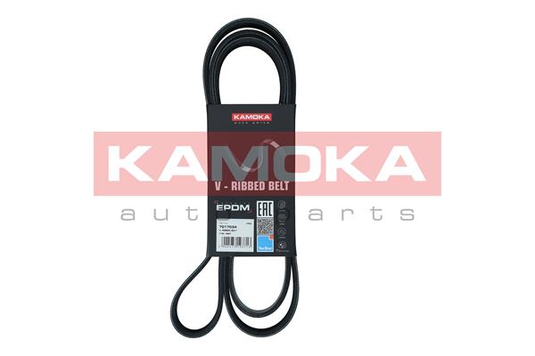 Curea transmisie cu caneluri KAMOKA 7017034