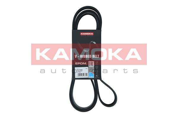 Curea transmisie cu caneluri KAMOKA 7017035