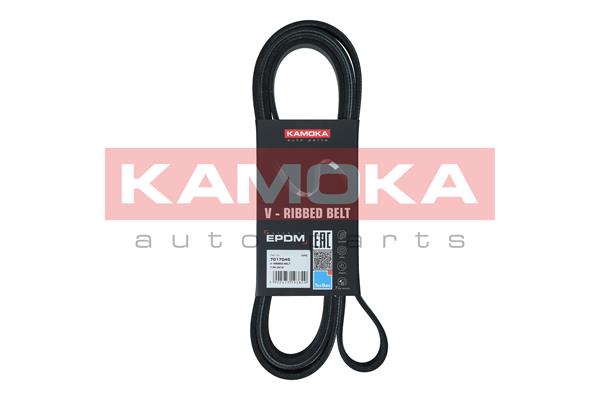 Curea transmisie cu caneluri KAMOKA 7017045