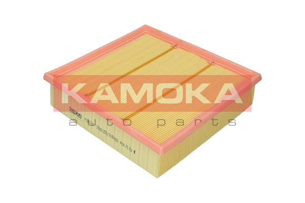 Filtru aer KAMOKA F241701