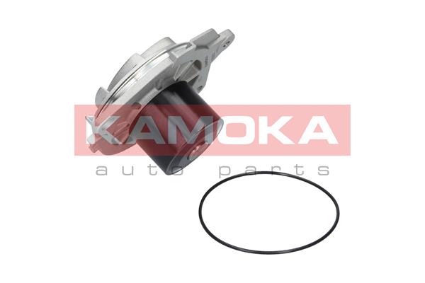 Pompa de apa KAMOKA T0002