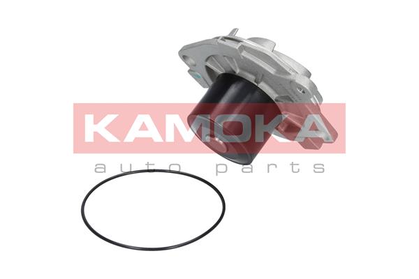 Pompa de apa KAMOKA T0002