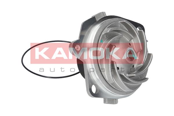 Pompa de apa KAMOKA T0002