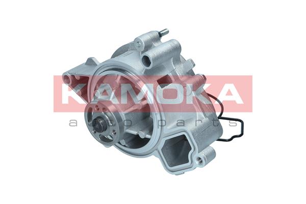 Pompa de apa KAMOKA T0007