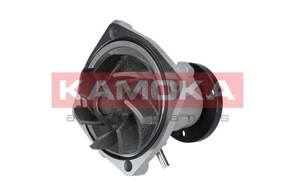 Pompa de apa KAMOKA T0011