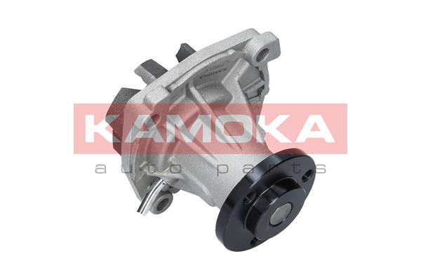 Pompa de apa KAMOKA T0011