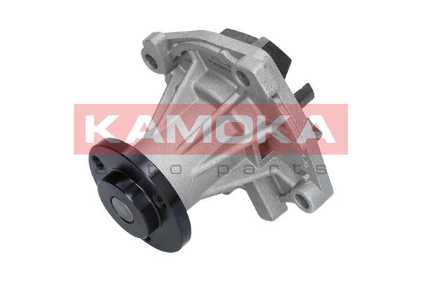 Pompa de apa KAMOKA T0011