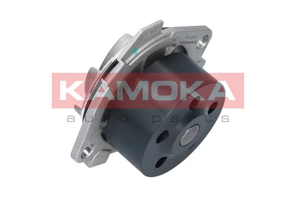 Pompa de apa KAMOKA T0012
