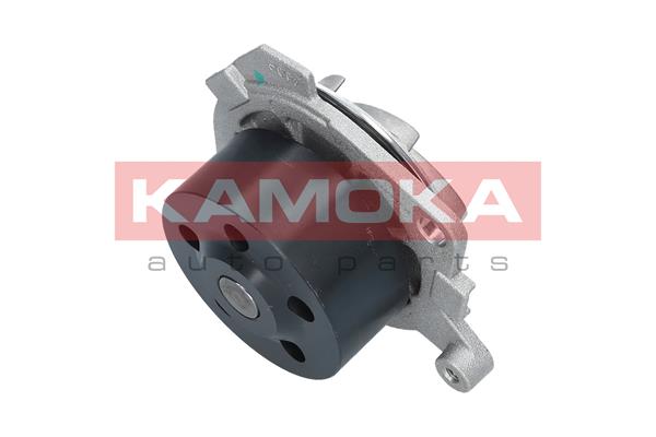 Pompa de apa KAMOKA T0012