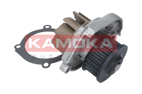 Pompa de apa KAMOKA T0013