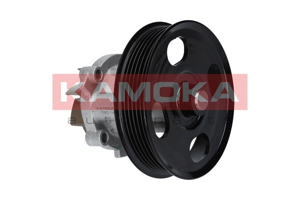 Pompa de apa KAMOKA T0014