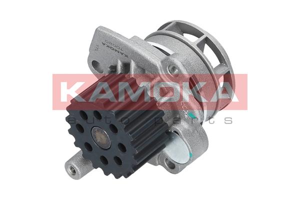 Pompa de apa KAMOKA T0020