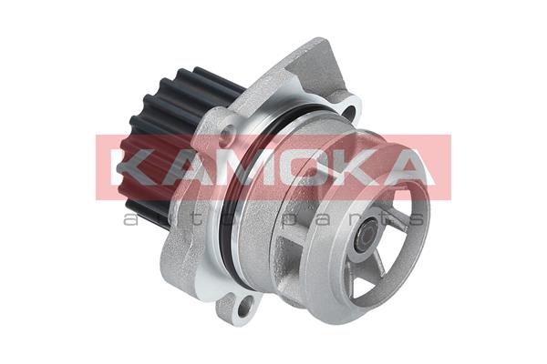 Pompa de apa KAMOKA T0020