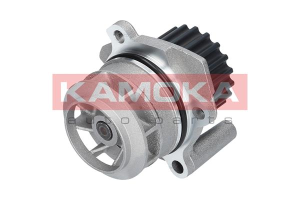 Pompa de apa KAMOKA T0020