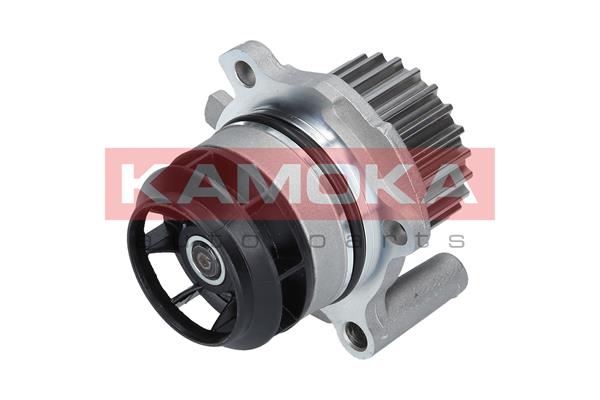 Pompa de apa KAMOKA T0022