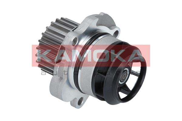 Pompa de apa KAMOKA T0022