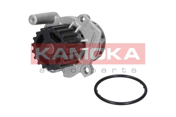 Pompa de apa KAMOKA T0023