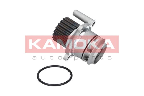 Pompa de apa KAMOKA T0023