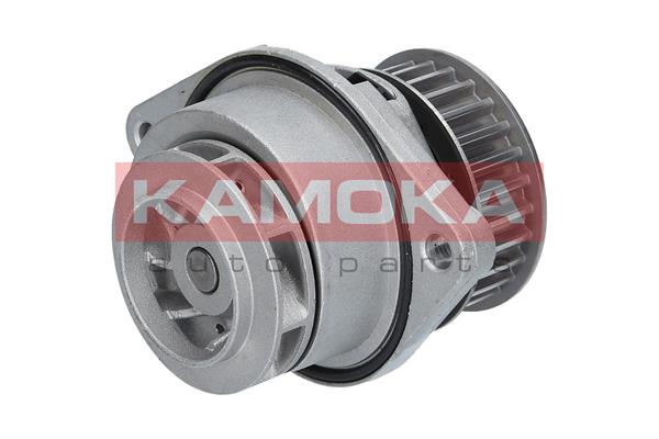 Pompa de apa KAMOKA T0024