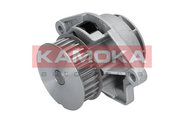 Pompa de apa KAMOKA T0024