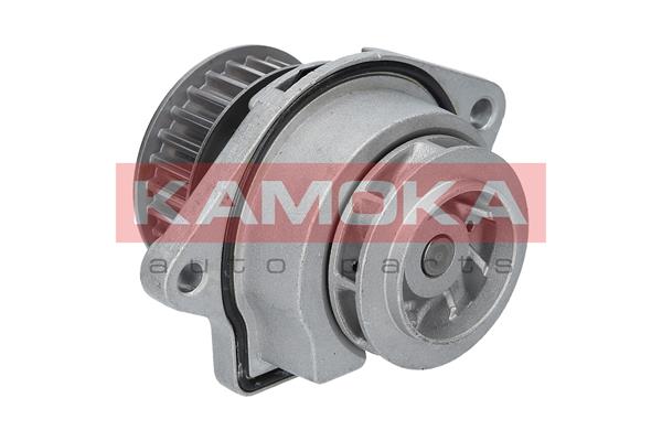 Pompa de apa KAMOKA T0024