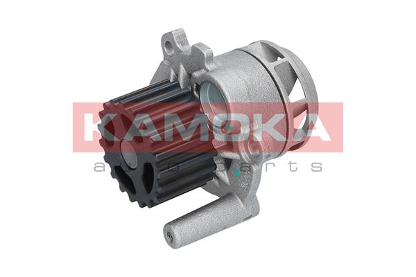Pompa de apa KAMOKA T0025